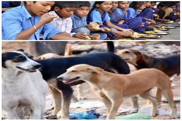 सीतामढ़ी के स्कूलों में नई व्यवस्था, पढ़ाई के साथ अब सुरक्षा और स्वच्छता की जिम्मेदारी भी शिक्षकों पर