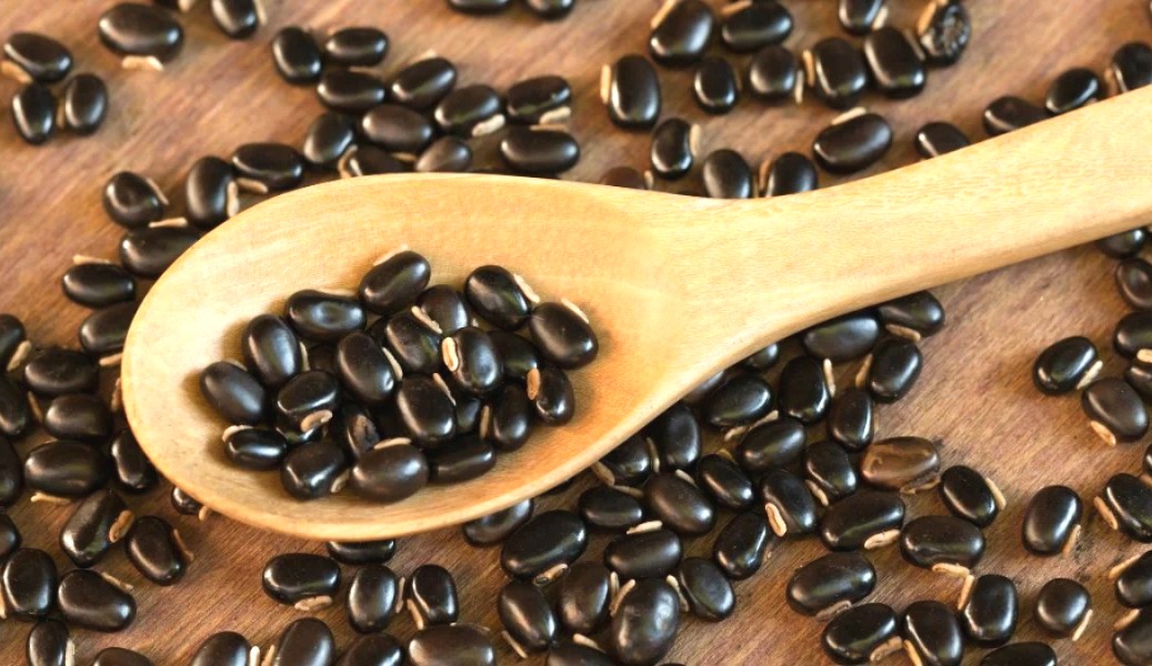 क्या है कौंच बीज और क्यों हो रहा है इतना पॉपुलर?