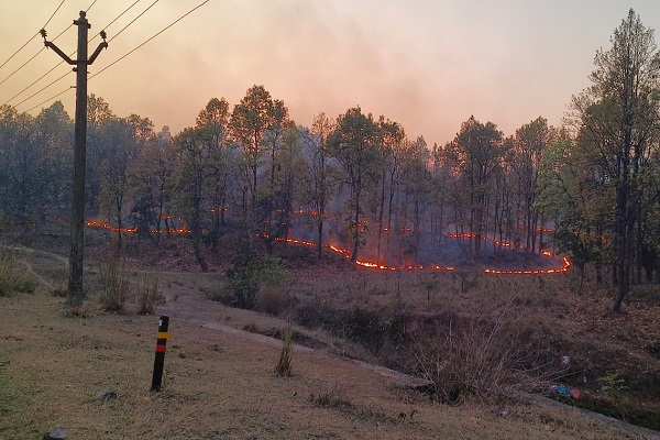 गोमिया के जंगलों में लगी आग, लुगू बुरु तक पहुंची लपटें, 40 हाथियों के झुंड के विचलित होने की आशंका Fire Breaks out in Gomia forests