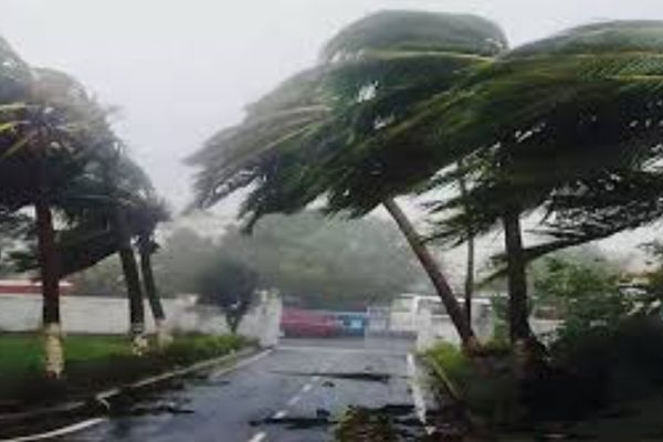 रांची में आंधी-तूफान का असर, कई जगह पेड़ गिरे, मौसम विभाग का अलर्ट जारी आंधी