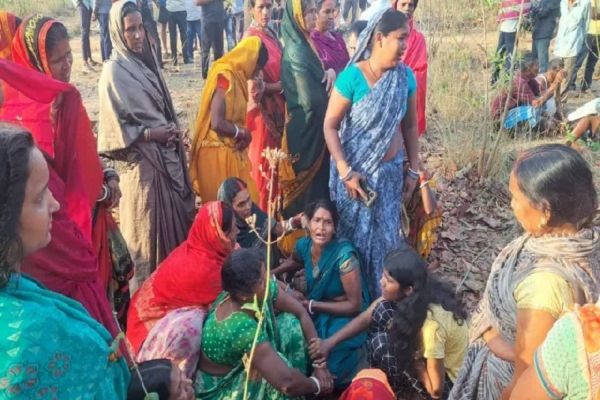 हाथियों