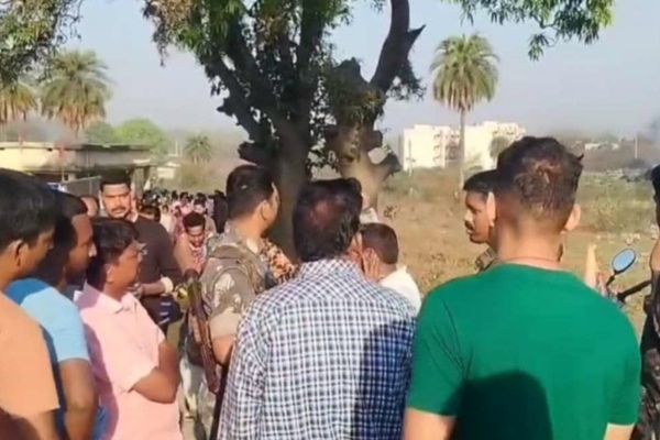 कोडरमा में जंगली हाथियों का कहर, महिला समेत दो की मौत जंगली