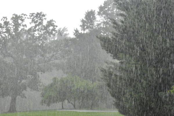 झारखंड में 19 मार्च से बदलेगा मौसम, कई इलाकों में बारिश और तेज हवा की संभावना झारखंड