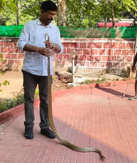 Ranchi Snake Rescue