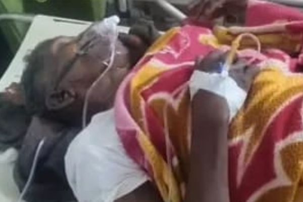 हाथियों