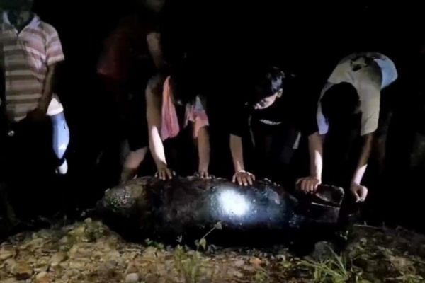 बहरागोड़ा में स्वर्णरेखा नदी किनारे मिला संदिग्ध जिंदा बम, इलाके में दहशत बम