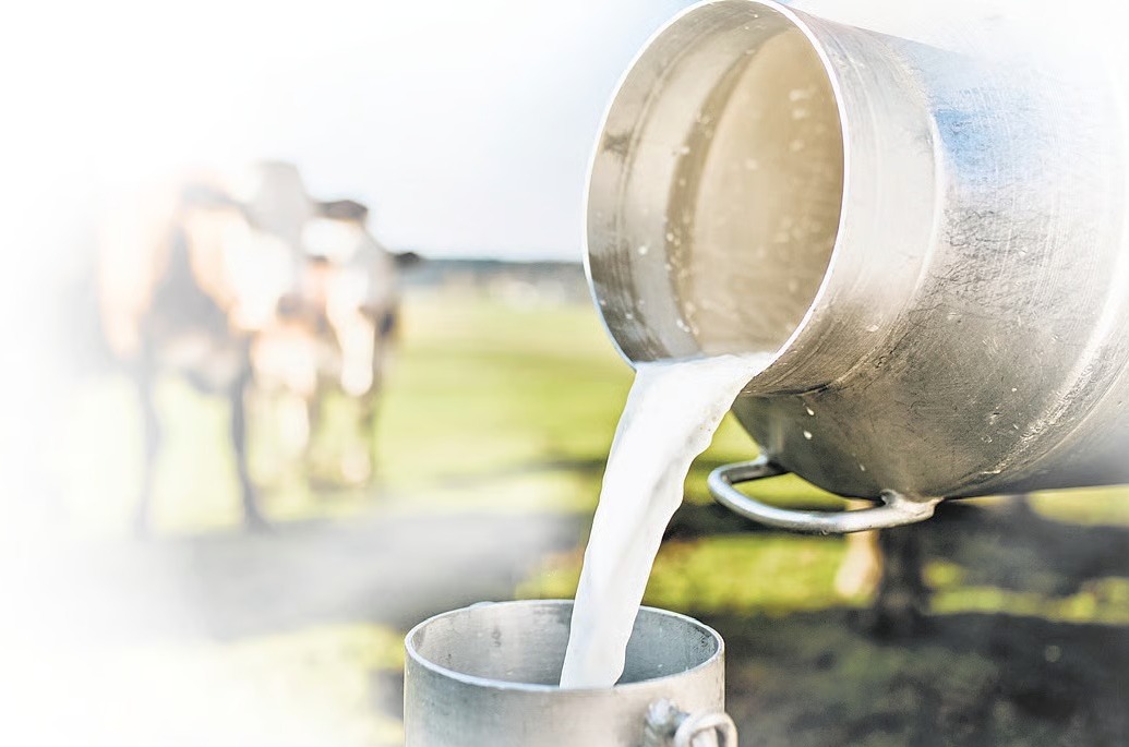 Milk Price Hike